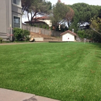 Green Lawn Andrews, Florida Landscape Photos, Beautiful Backyards