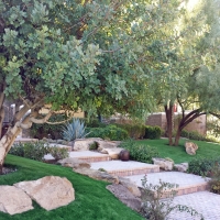 Green Lawn Astatula, Florida Gardeners, Beautiful Backyards