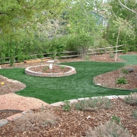 Green Lawn Clermont, Florida Home And Garden, Backyard Landscape Ideas