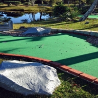 Green Lawn Willow Oak, Florida Indoor Putting Green, Backyard Design