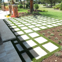 Installing Artificial Grass Cleveland, Florida Backyard Deck Ideas, Backyard Landscaping