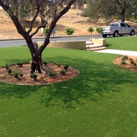 Outdoor Carpet Azalea Park, Florida Lawn And Landscape, Front Yard Landscaping