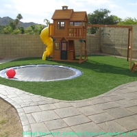 Outdoor Carpet Brandon, Florida Landscape Ideas, Beautiful Backyards