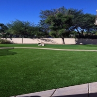 Plastic Grass South Brooksville, Florida Roof Top, Front Yard Ideas