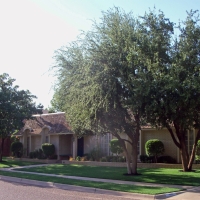 Plastic Grass Southeast Arcadia, Florida Landscape Photos, Front Yard Landscaping