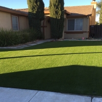 Synthetic Grass Charlotte Harbor, Florida Roof Top, Front Yard Ideas