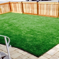 Synthetic Grass Cost Wedgefield, Florida City Landscape, Backyard Makeover