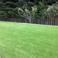 Synthetic Grass Sebastian, Florida Landscape Rock, Backyard