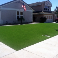 Synthetic Grass Webster, Florida Landscape Ideas, Front Yard Ideas