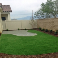 Synthetic Lawn Sebring, Florida Rooftop, Backyard Landscape Ideas