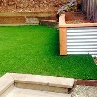 Synthetic Lawn Suncoast Estates, Florida Backyard Playground, Backyard Makeover