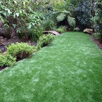 Synthetic Turf Alva, Florida Landscaping Business, Backyards