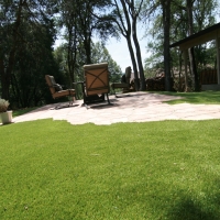 Synthetic Turf Lemon Grove, Florida Design Ideas, Backyard Makeover