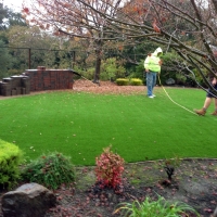 Synthetic Turf Palm River-Clair Mel, Florida City Landscape, Backyard Garden Ideas