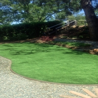 Synthetic Turf South Pasadena, Florida Backyard Playground, Backyard Landscape Ideas