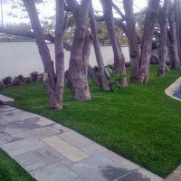 Synthetic Turf Supplier Charleston Park, Florida Landscaping Business, Landscaping Ideas For Front Yard