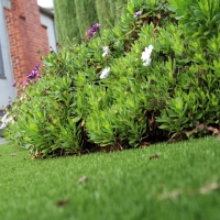 Synthetic Turf Supplier Homeland, Florida Landscaping, Front Yard Landscape Ideas