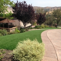 Synthetic Turf Supplier Nobleton, Florida Lawn And Landscape, Front Yard Landscaping