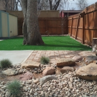 Synthetic Turf Supplier Pine Hills, Florida Roof Top, Backyard Landscaping