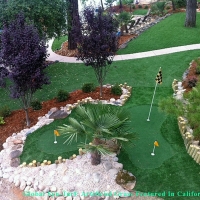 Synthetic Turf Tampa, Florida Rooftop, Small Backyard Ideas