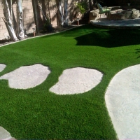 Turf Grass Hill n Dale, Florida Landscape Design, Backyard