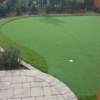 Turf Grass Ruskin, Florida Landscaping Business, Backyard Landscape Ideas