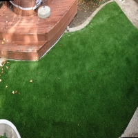 Turf Grass Sarasota, Florida Backyard Playground, Backyard Makeover