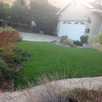 Turf Grass Zephyrhills South, Florida Paver Patio, Front Yard Ideas