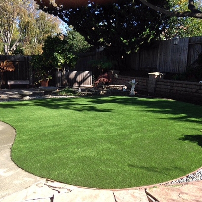 Artificial Grass Carpet Bay Hill, Florida Landscape Photos, Small Backyard Ideas