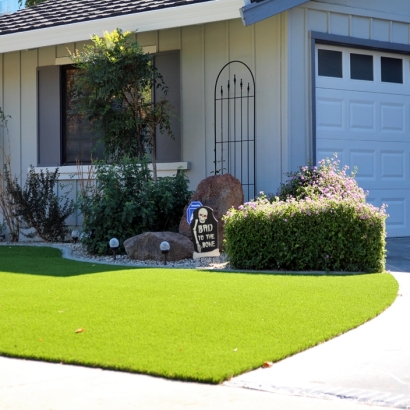 Artificial Grass Carpet Okeechobee, Florida Garden Ideas, Front Yard Landscape Ideas