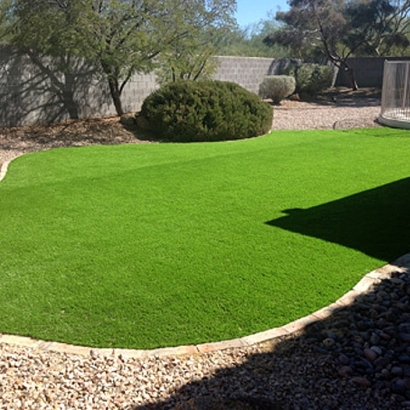 Artificial Grass Installation Cheval, Florida Landscape Ideas, Beautiful Backyards