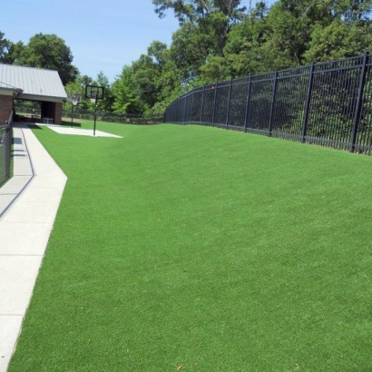 Artificial Grass Installation Lake Lindsey, Florida Landscape Ideas, Commercial Landscape