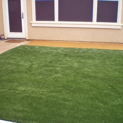 Artificial Grass North Weeki Wachee, Florida Landscaping, Backyard Landscaping