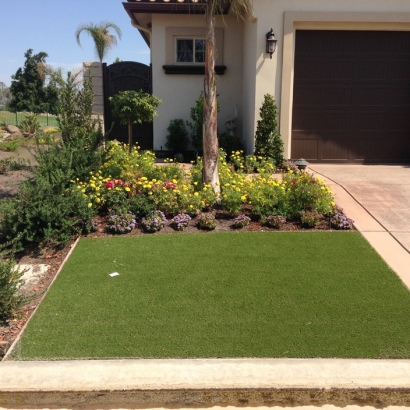 Artificial Grass Tangerine, Florida Rooftop, Front Yard Landscaping