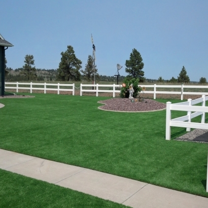 Artificial Grass Yankeetown, Florida Backyard Playground, Front Yard Ideas