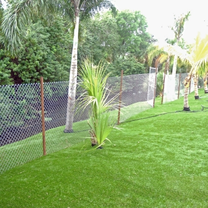 Artificial Lawn Bay Hill, Florida Landscaping Business, Backyard Landscape Ideas