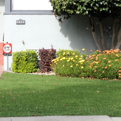 Artificial Lawn Fort Green, Florida Landscaping, Front Yard