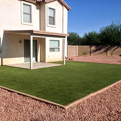 Artificial Lawn Inverness, Florida Home And Garden, Backyard Garden Ideas