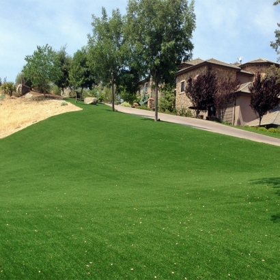 Artificial Lawn South Gate Ridge, Florida Roof Top, Front Yard Landscaping