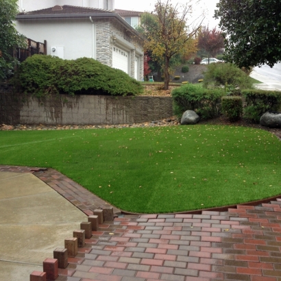 Artificial Lawn Tampa, Florida Paver Patio, Backyard Ideas