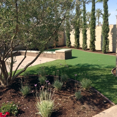 Artificial Turf Cost Fort Green, Florida Roof Top, Backyard Landscape Ideas