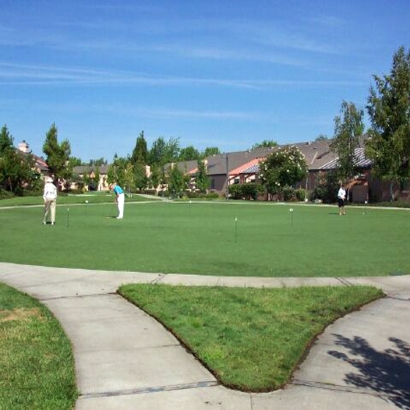 Artificial Turf Cost Midway, Florida Putting Green Grass, Commercial Landscape