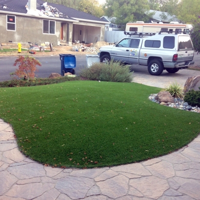 Artificial Turf Cost Valrico, Florida Backyard Playground, Front Yard Landscaping Ideas