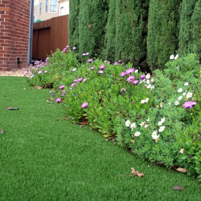 Artificial Turf Crooked Lake Park, Florida Landscaping Business, Small Front Yard Landscaping