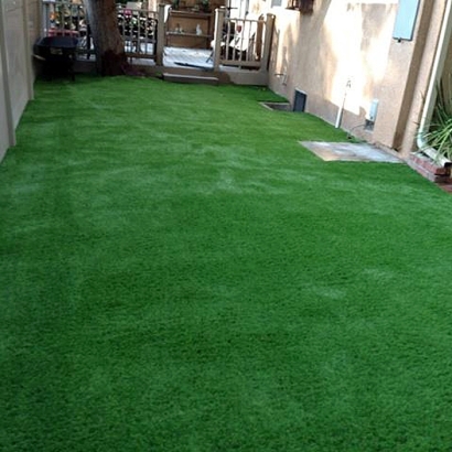 Artificial Turf Installation Bradenton Beach, Florida Landscape Ideas, Backyard Ideas