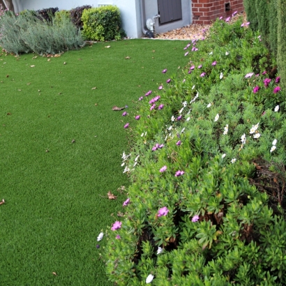 Best Artificial Grass South Sarasota, Florida Lawns, Front Yard Landscaping