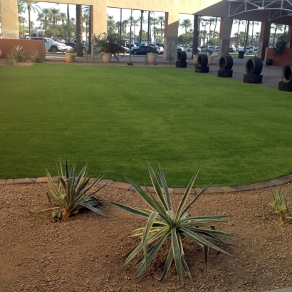 Fake Grass Carpet Buckhead Ridge, Florida City Landscape, Commercial Landscape