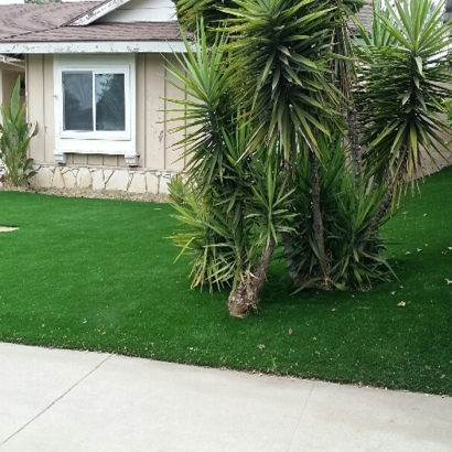 Fake Grass Carpet Cocoa West, Florida Design Ideas, Front Yard Landscaping