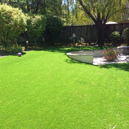 Fake Grass Carpet Gibsonia, Florida Landscape Design, Small Backyard Ideas