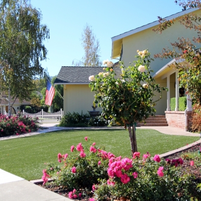 Fake Grass Carpet Palm Shores, Florida Garden Ideas, Small Front Yard Landscaping